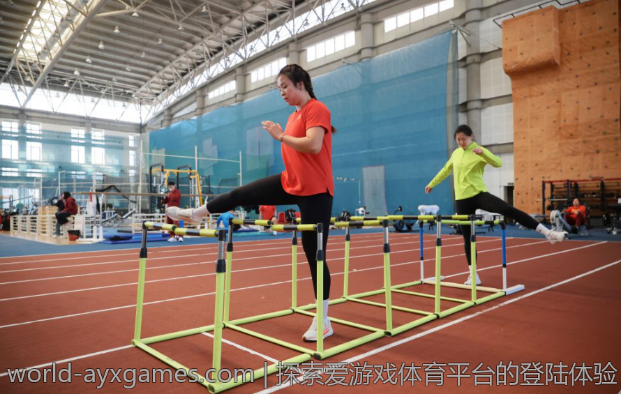 探索爱游戏体育平台的登陆体验