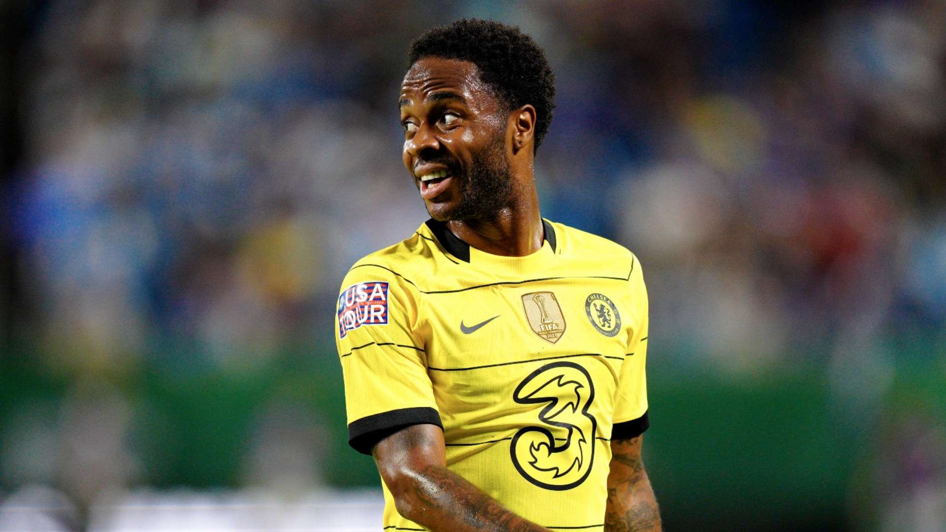 他们正力图 他们正力图